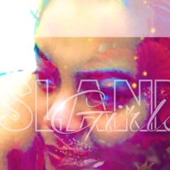 DJ NOiZ - HAPPY BIRTHDAY X PARTY ANIMAL