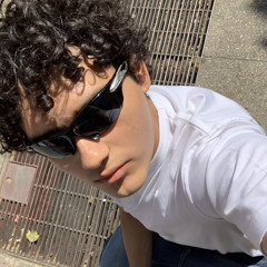 nicolvsg