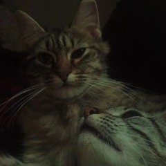 Vinicius