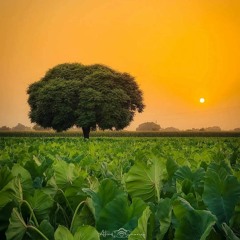 Agar Bi Nam Shabbe (Farsi ) By Ustad Nusrat Fateh Ali Khan - YouTube