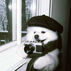 vanhhh