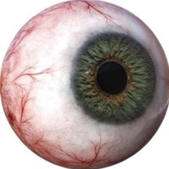revisitingearth