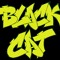 Black Cat