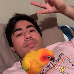 🦢rob 🦢