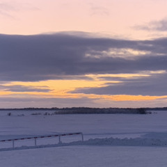 Амонди