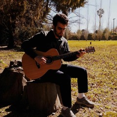 tomi marzocca