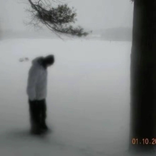 dualspines desolation