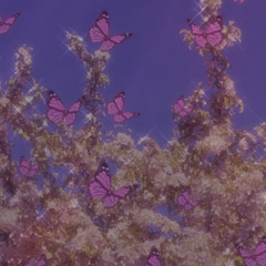 y.blossom