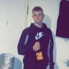 Steven agnew
