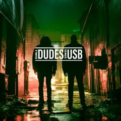 Two Dudes One USB