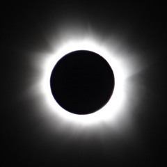 Them From Space 1989