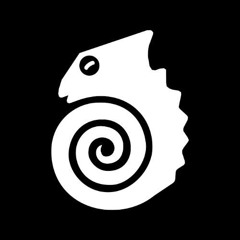 Circupsycho - The Circupsycho Experience