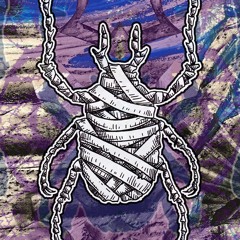 Windwege / Windways / Drogi Wiatru