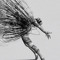mehrshad._gh