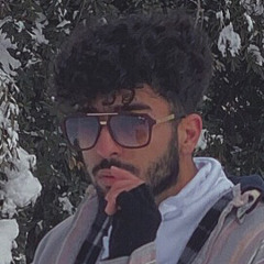 Sina Radmanesh