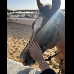 فدا 🐎