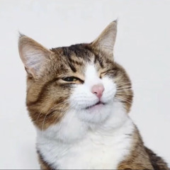....