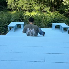 EVmightbePEAK
