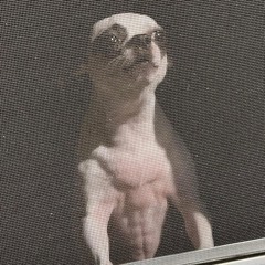 𝕸𝖆𝖉𝖉𝖎𝖎𝖎⋆˚🐾˖° ⋆ ⋆