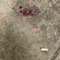 scatter