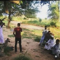 سيداحمد عبدالرحمن