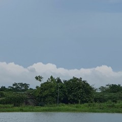 nthadt