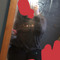 itsmehclol