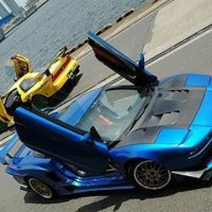 Lodi Lodilexus