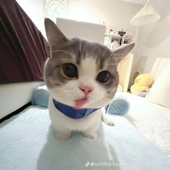 Vinamilk