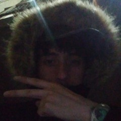 Tigerfly