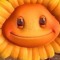 it's kaiii