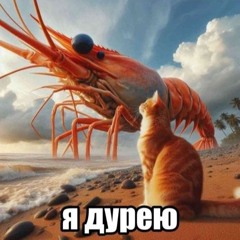 KATAOMI