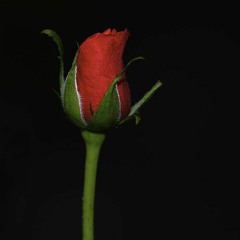 sea sick | made on the Rapchat app (prod. by Rapchat)