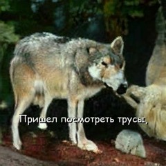 косплей на манку з комочками