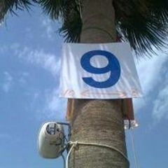 شعر