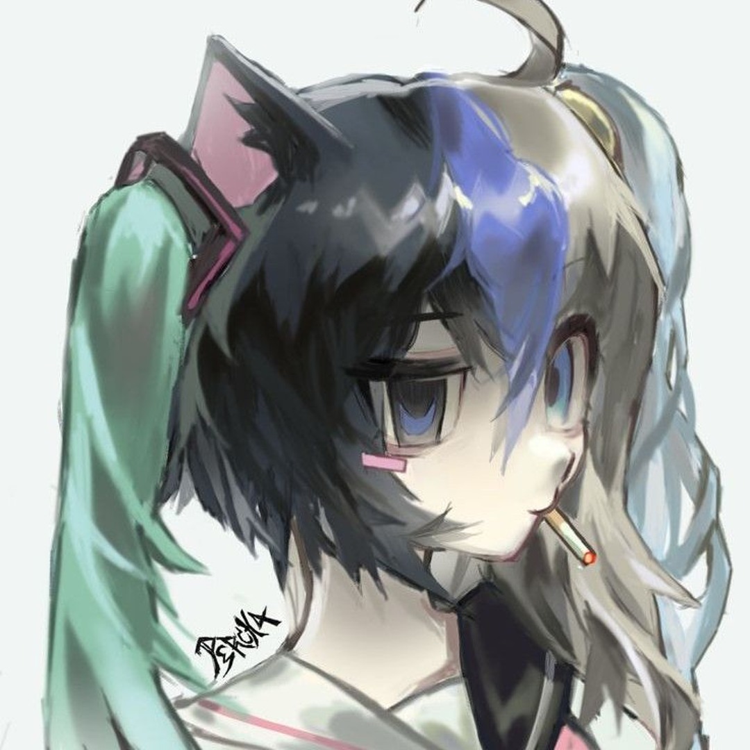 /ᐠ_ ꞈ _ᐟ\様 んま🍰 on X: 