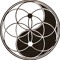anomalies radio