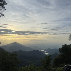 Phát Bùi