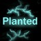 Planted