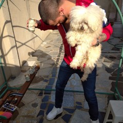 pullpull