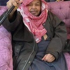 ناهد شاهين