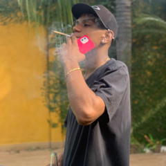 guiguidois44