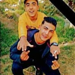 محمد محمود