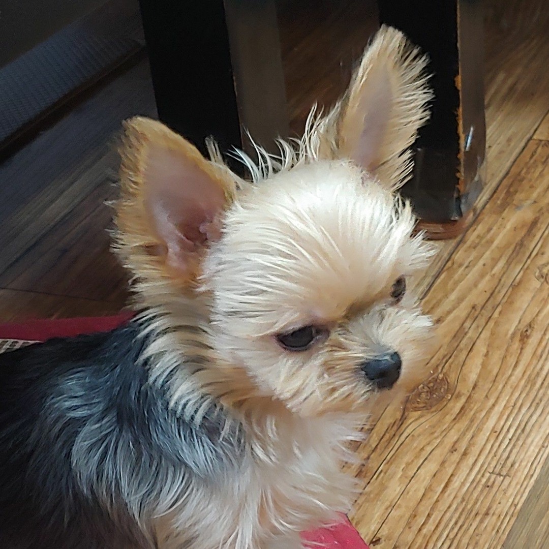 Stream dgdgdgdg music Listen to songs, albums, playlists for free on