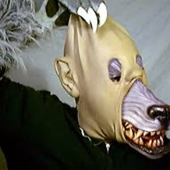 freddy