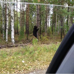 kirill
