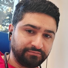Mohsen Garmestani