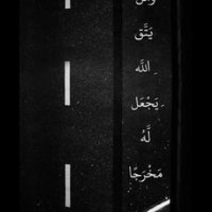 Noha Abdul
