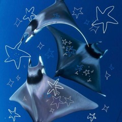 🌊ଳ jelly ଳ🌊