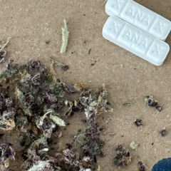 dmnzxl